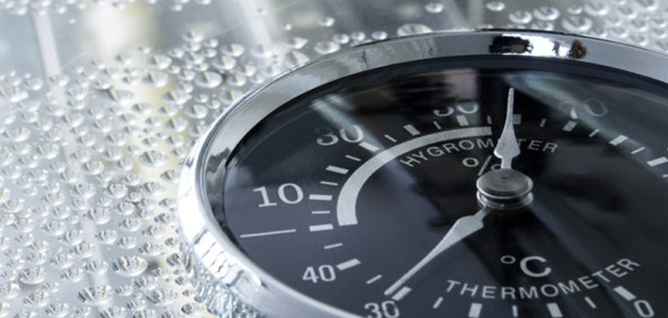 A Dehumidifier or Air Purifier, Which One Should You Invest in Today?