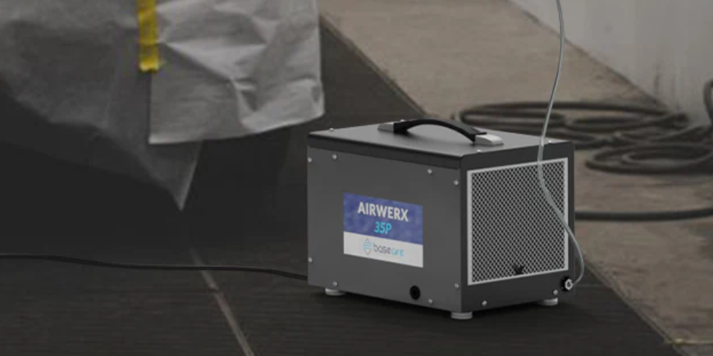 How Healthy Air Fights Air Pollution Effects?