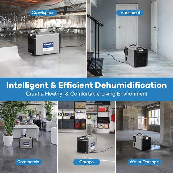 BaseAire Crawl Space Dehumidifier with Pump