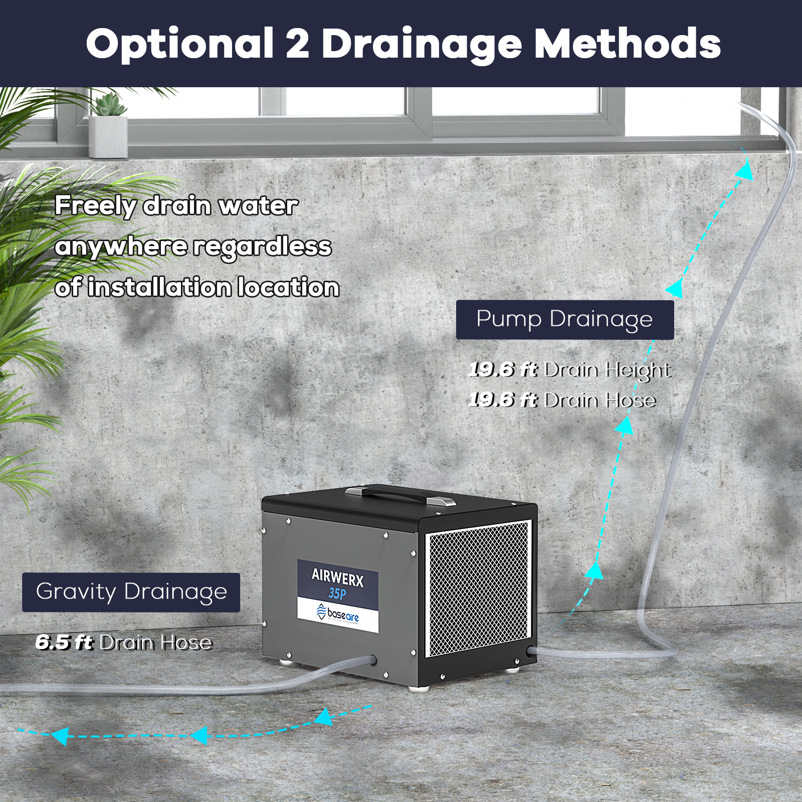 Dehumidifier for Basement