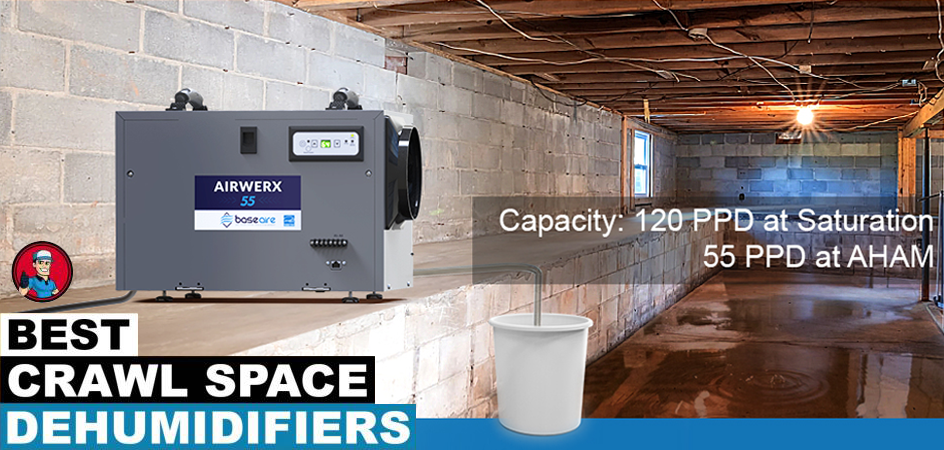 10 Best Crawl Space Dehumidifiers of 2023: Comprehensive Reviews and Buying Guide